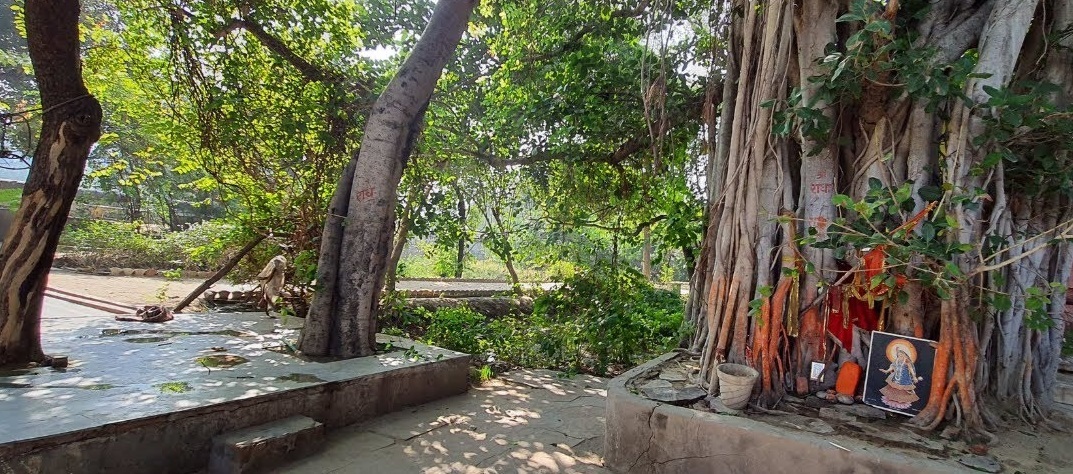 राधा बाग