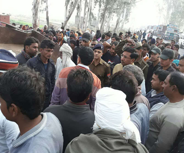 mandi halchal