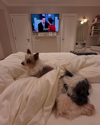 ख़ुशी कपूर का ग्लो हर तस्वीर में बिखरा