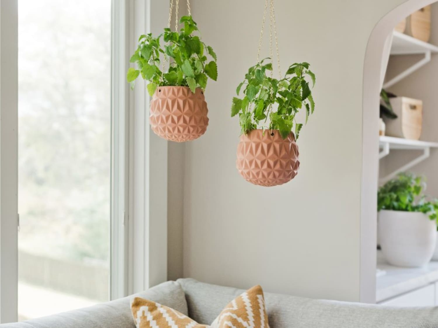 कटनीप (कैटमिंट) की देखभाल करना बहुत आसान है। वहीं, शोध की मानें तो मच्छरों व कीटनाशकों को दूर रखने के लिए यह DTI की तुलना में 10 गुना अधिक प्रभावी पाया गया।