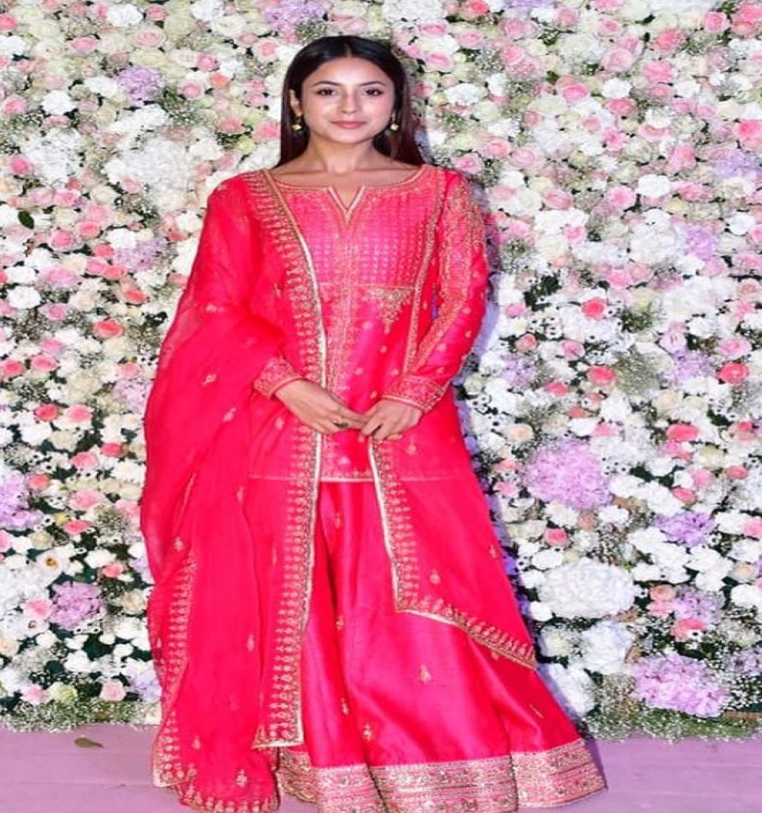 पिंक शरार सूट में शहनाज गिल लगी बेहद खूबसूरत