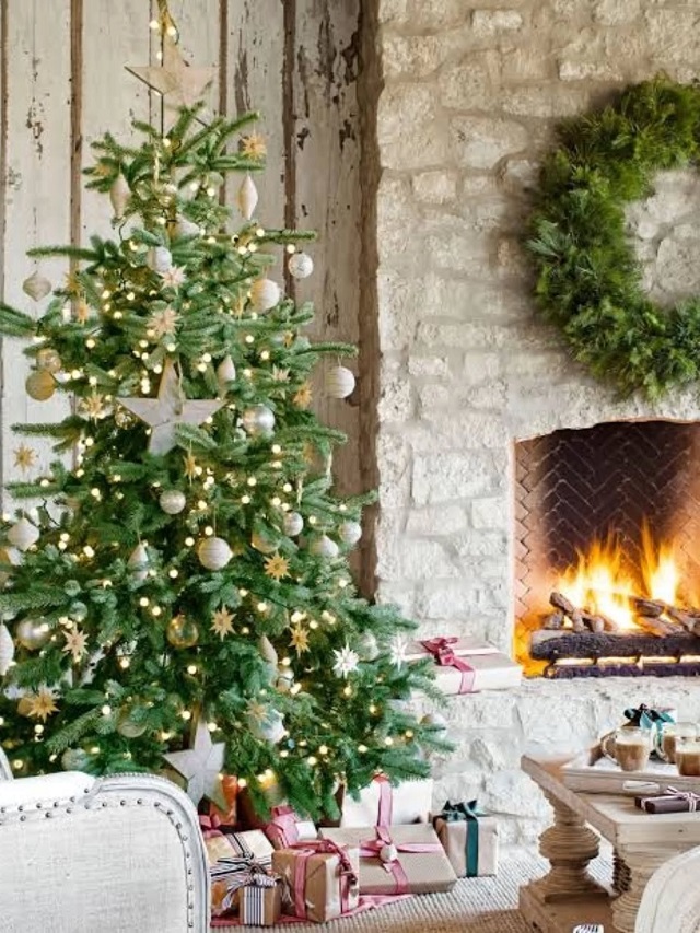 DIY! बच्चों के साथ बनाएं Unique Christmas Tree Ideas