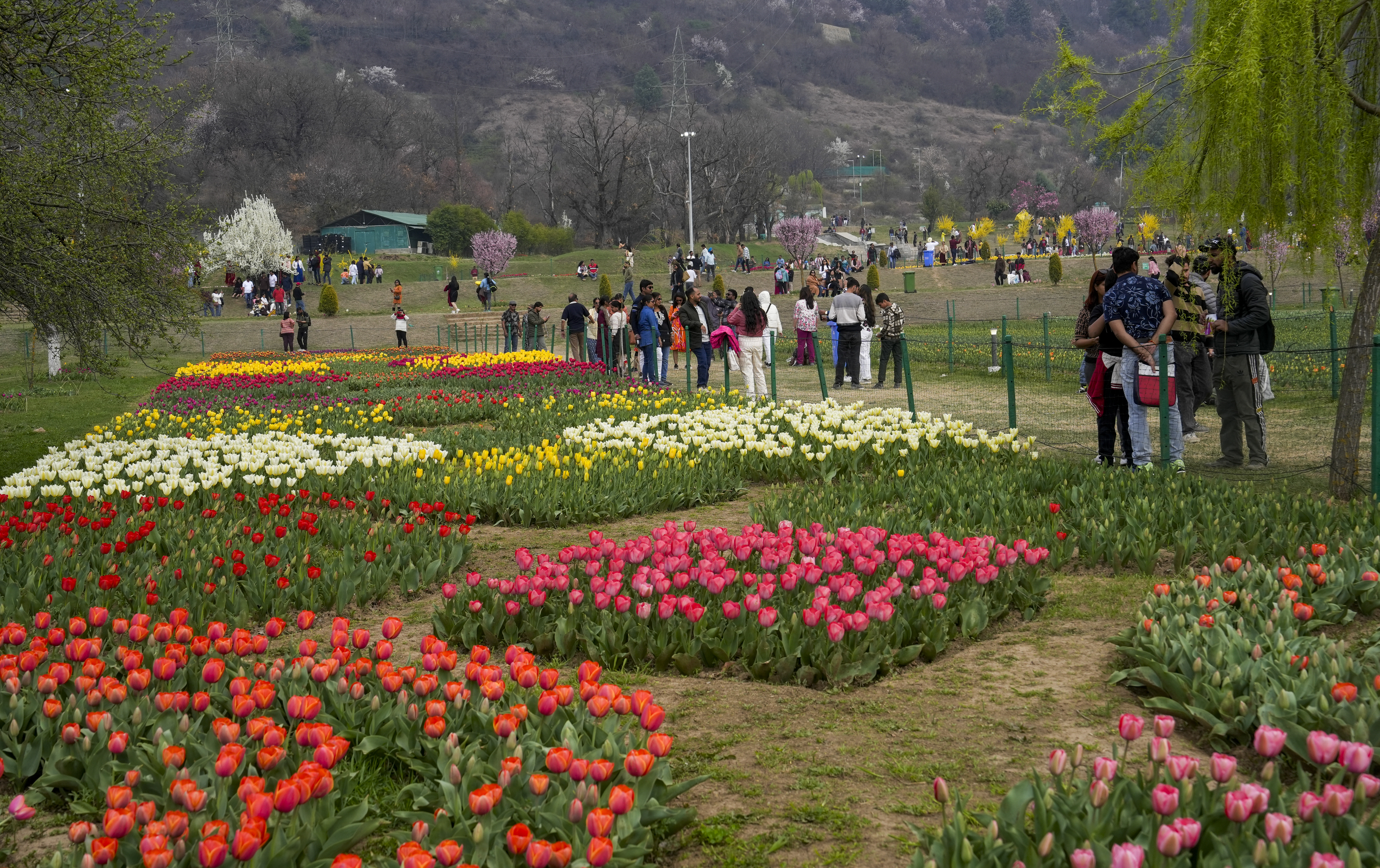 90 हैक्टेयर क्षेत्रफल में फैला ये गार्डन देखने में इतना सुंदर है कि यहां बार-बार आने का मन करेगा।