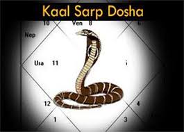 PunjabKesari Nag Panchami