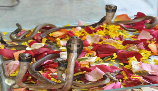 PunjabKesari Nag Panchami