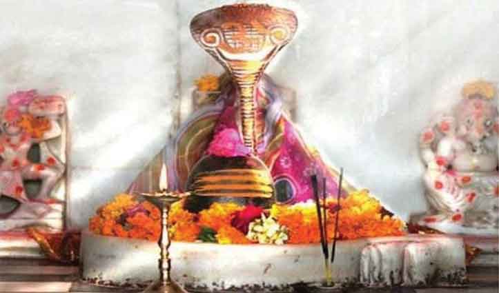 PunjabKesari Nag Panchami