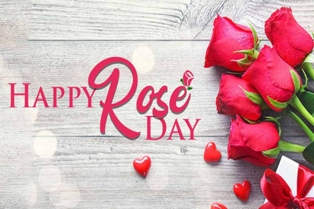 PunjabKesari Rose day