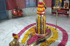 PunjabKesari Daksheshwar Mahadev Temple