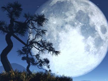 PunjabKesari Karva chauth chand timing 2019