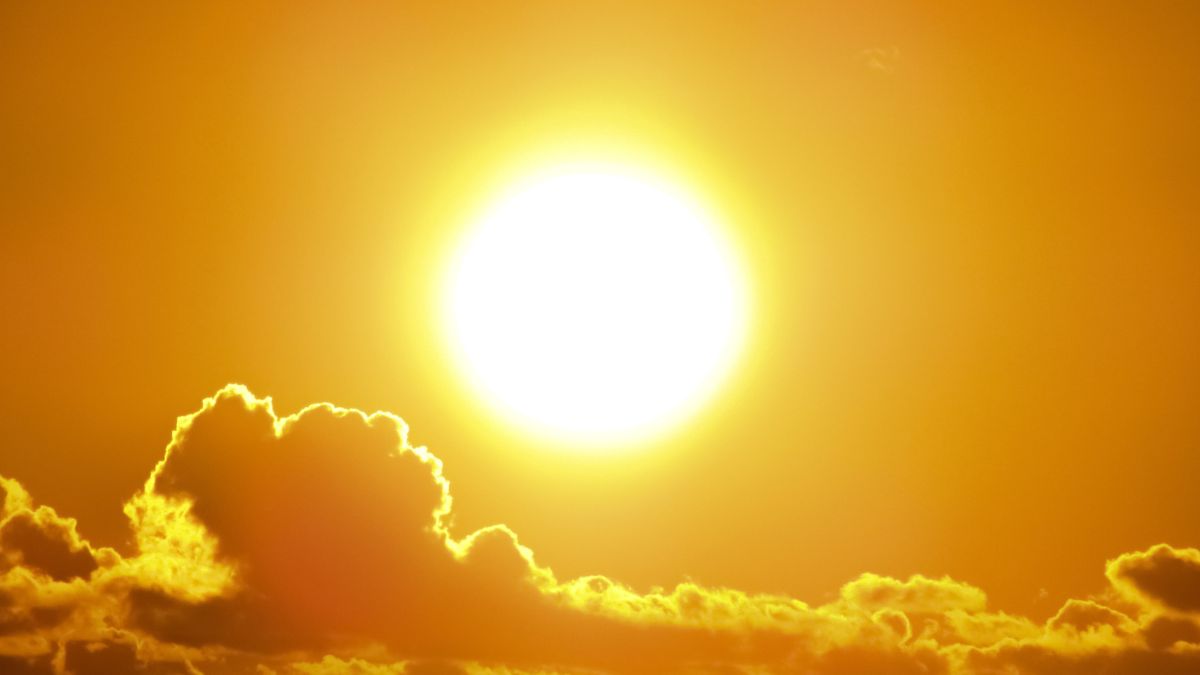 PunjabKesari Sun Transit In Pisces