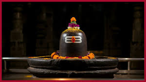 PunjabKesari Rudrabhishek in Sawan