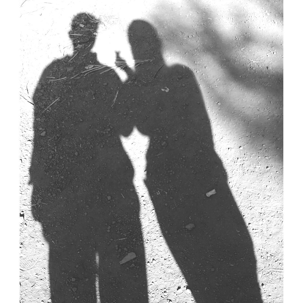 PunjabKesari Vastu tips for morning