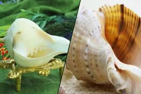 PunjabKesari Benefits Of Shankh