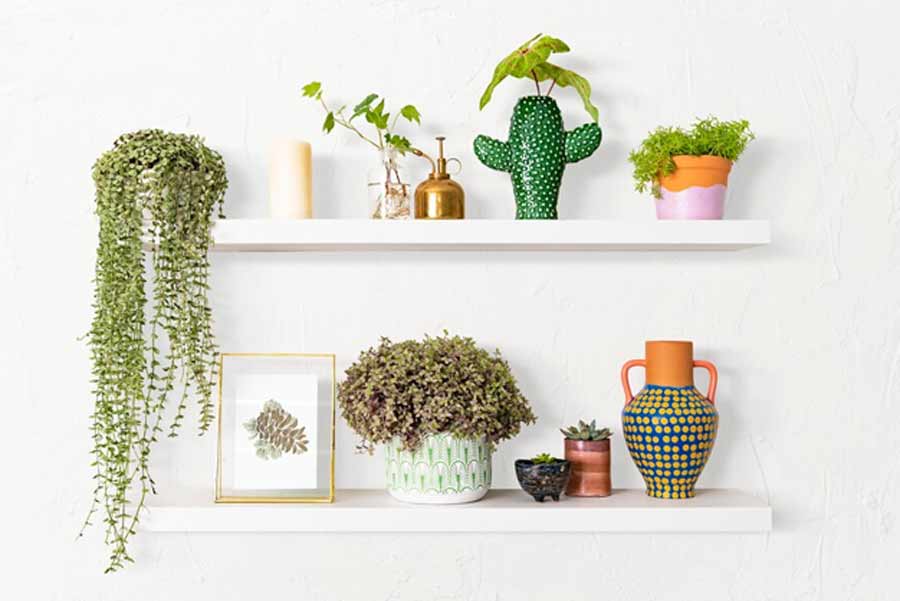 PunjabKesari Vastu Tips