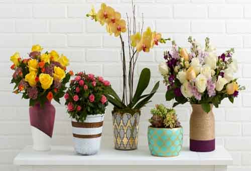 PunjabKesari Keeping these flowers at home