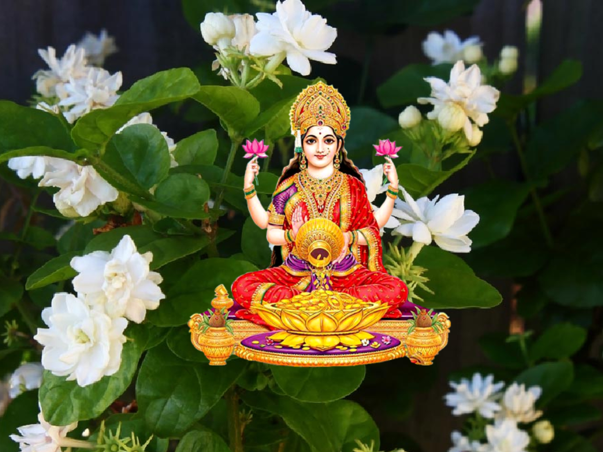 PunjabKesari Vastu Tips