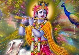 PunjabKesari Apara ekadashi