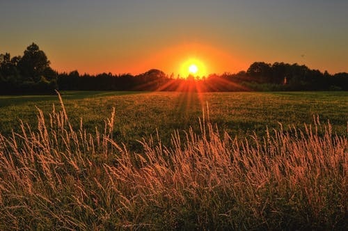 PunjabKesari, kundli tv, sunrise image