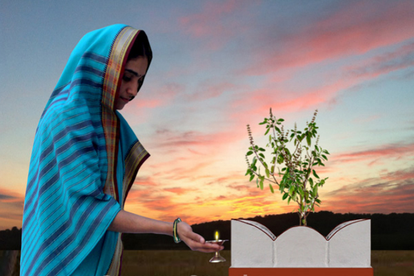 PunjabKesari Applying Tulsi in this direction