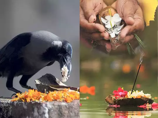 PunjabKesari kundlitv