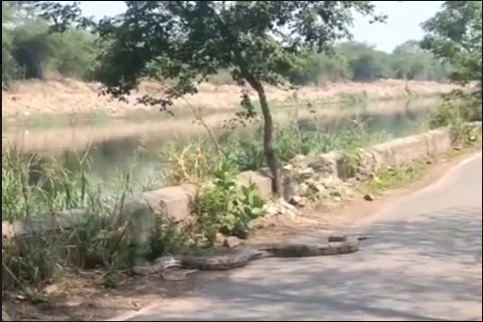 PunjabKesari