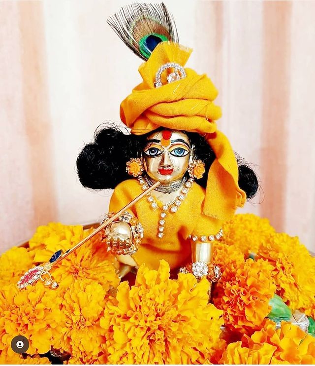 PunjabKesari Janmashtami