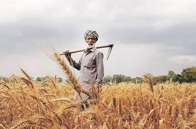PunjabKesari