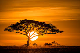 PunjabKesari, kundli tv, sunrise image