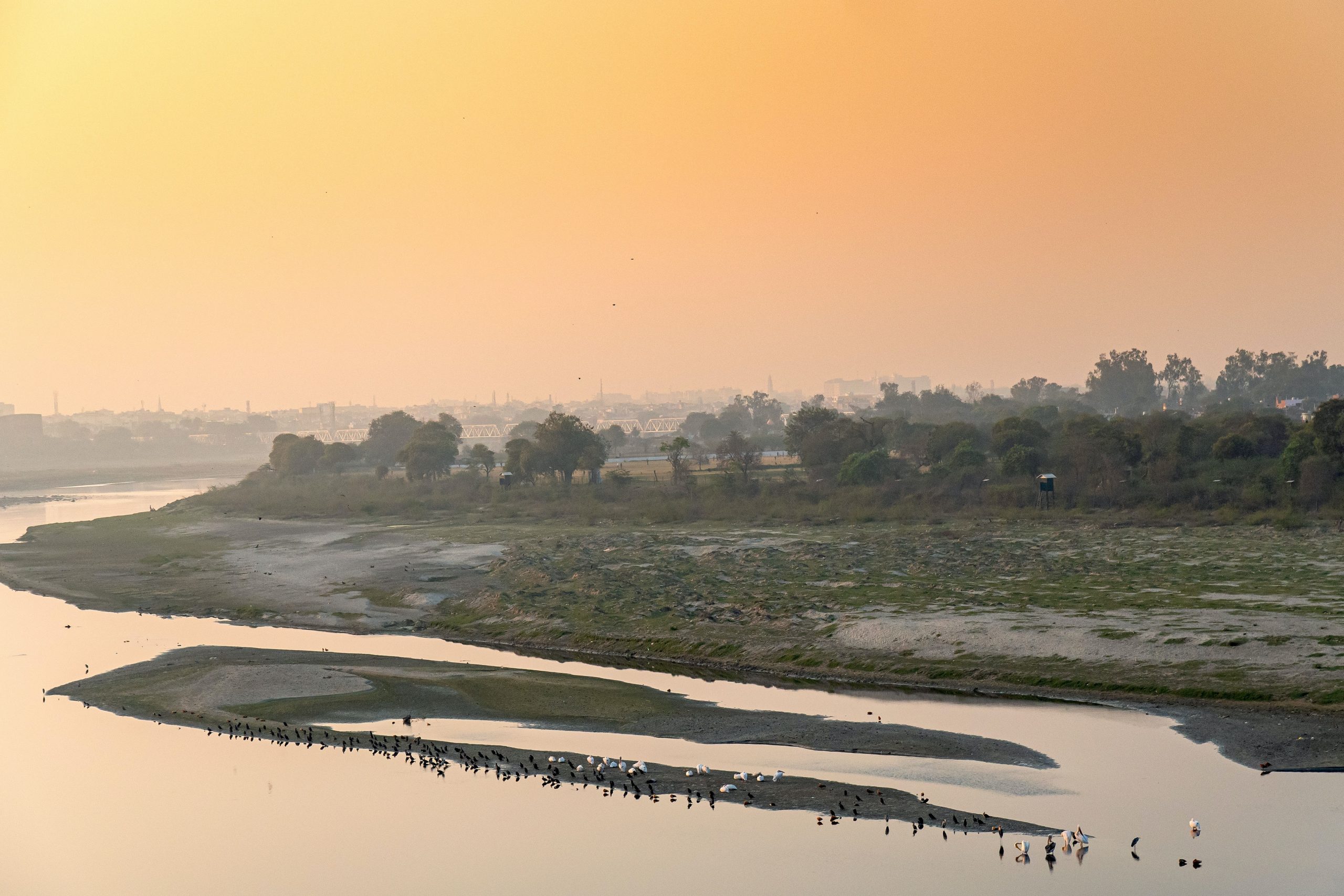 PunjabKesari Kaveri River