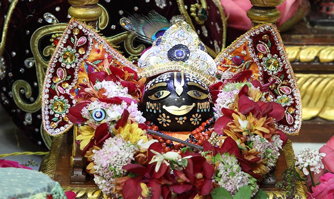 PunjabKesari,Shaligram sewa