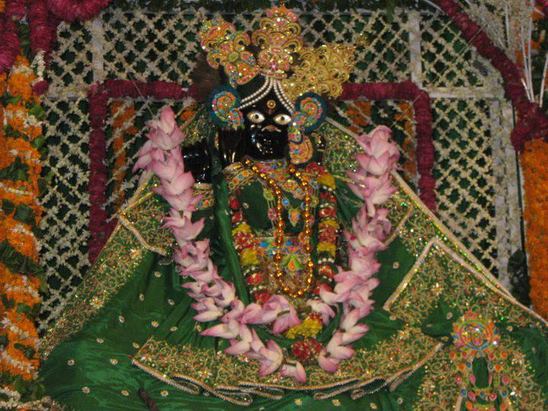 PunjabKesari Bihar Panchami