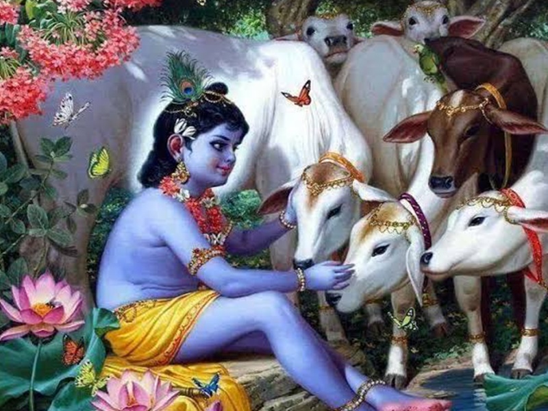 PunjabKesari, Krishna Janmashtami Photo, happy janmashtami Pic,krishna jayanthi  photo, कृष्ण जन्माष्टमी फोटो,कृष्ण फोटो