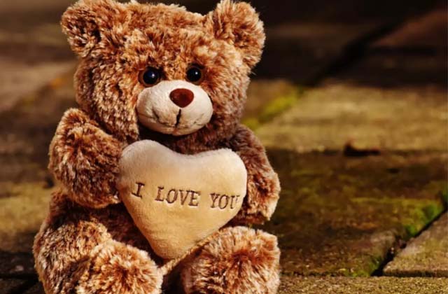 PunjabKesari, Happy Teddy Day: brings softness and cuteness to relationships