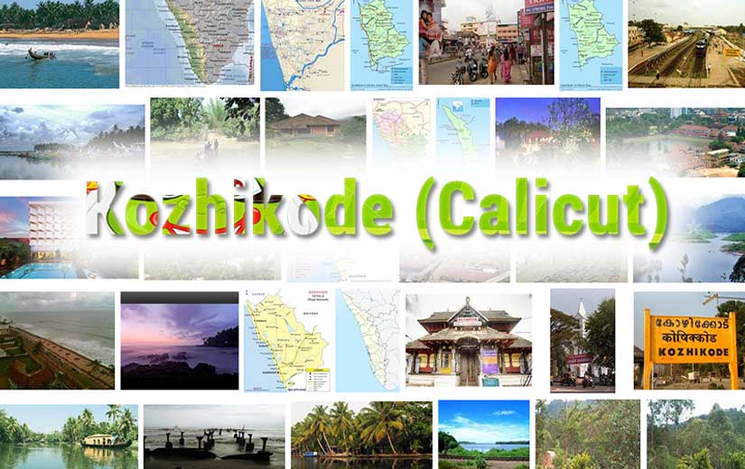 PunjabKesari kozhikode