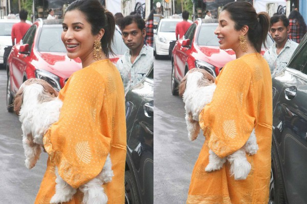 Bollywood Tadka,सोफी चौधरी इमेज, सोफी चौधरी फोटो, सोफी चौधरी पिक्चर