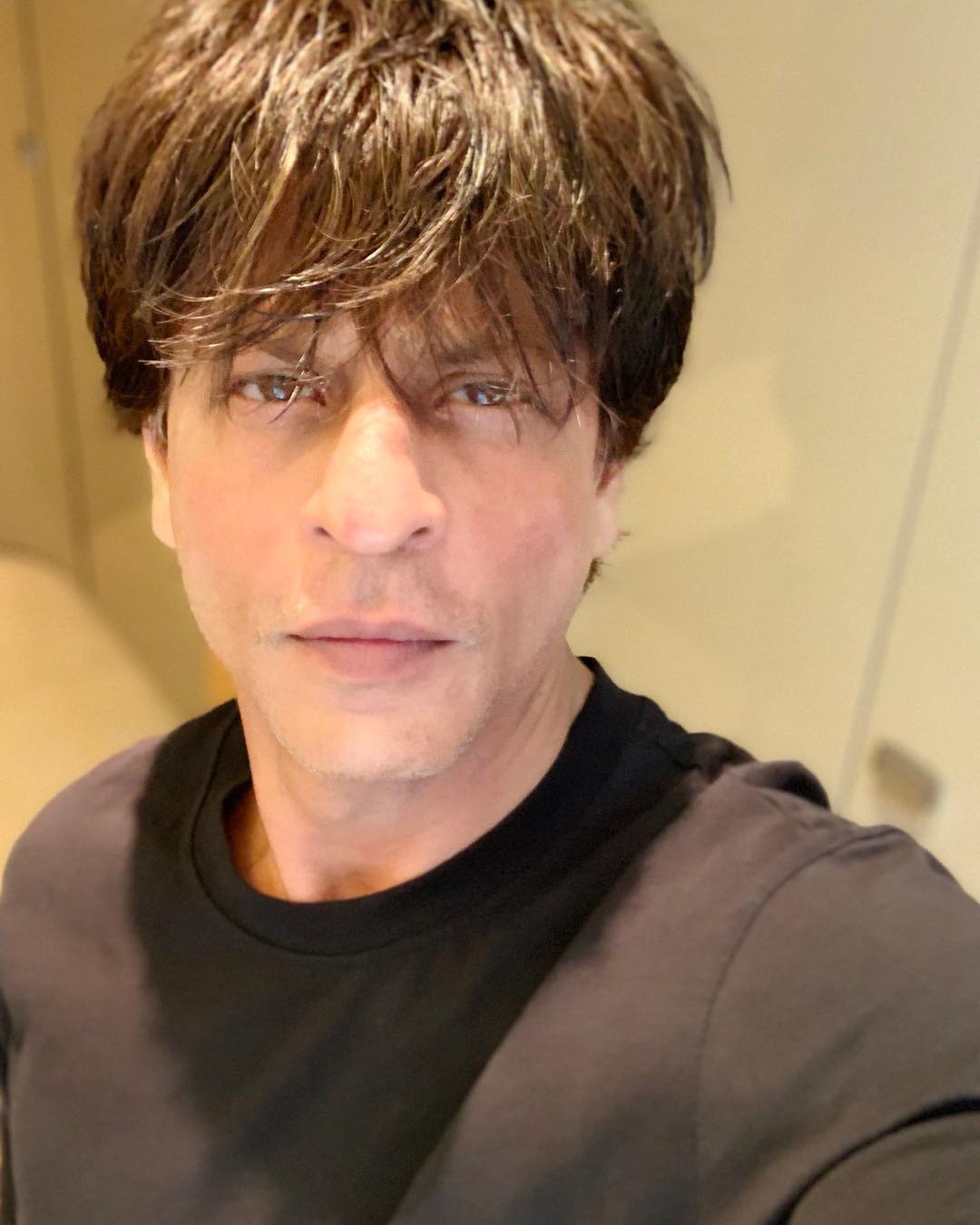 Bollywood Tadka,शाहरुख खान इमेज,शाहरुख खान फोटो,शाहरुख खान पिक्चर,