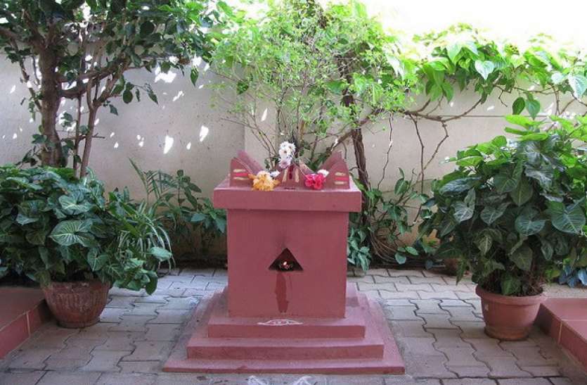 PunjabKesari, tulsi pujan