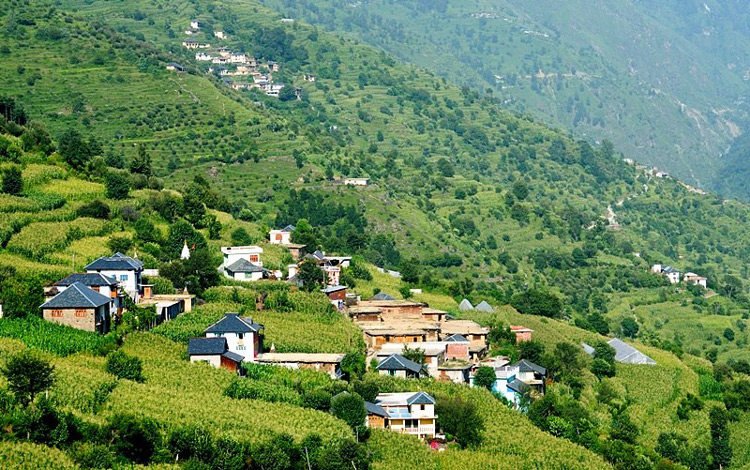 PunjabKesari Himachal pradesh chamba naresh shivalaya