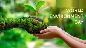 PunjabKesari World Environment Day