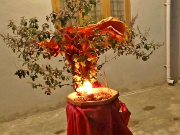 PunjabKesari, tulsi vivah