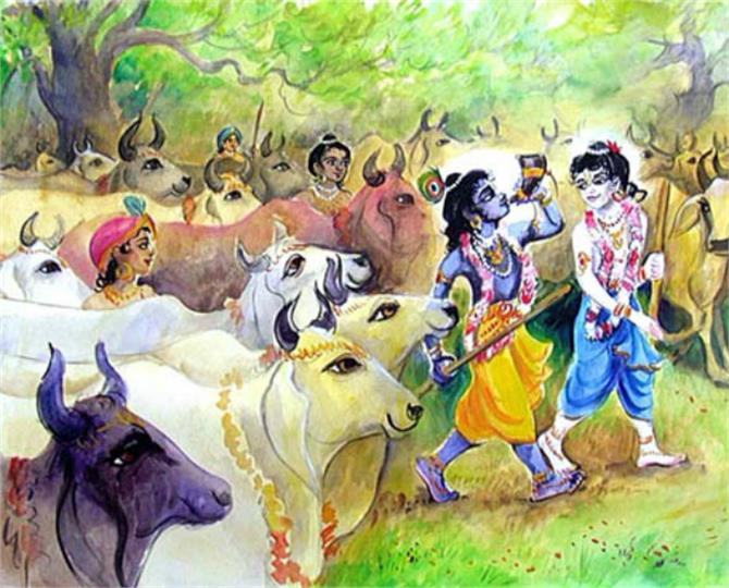 PunjabKesari, Gopashtami