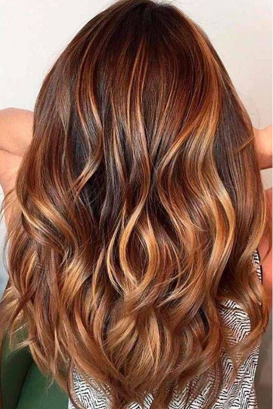 PunjabKesari, Nari, Chestnut Brown Hair Color Image, Hair color Trend 2019