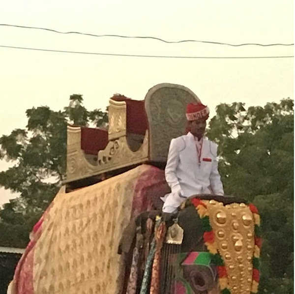 Bollywood Tadka,priyanka chopra image , nick jonas image, royal look image, hindu marriage image, barat image