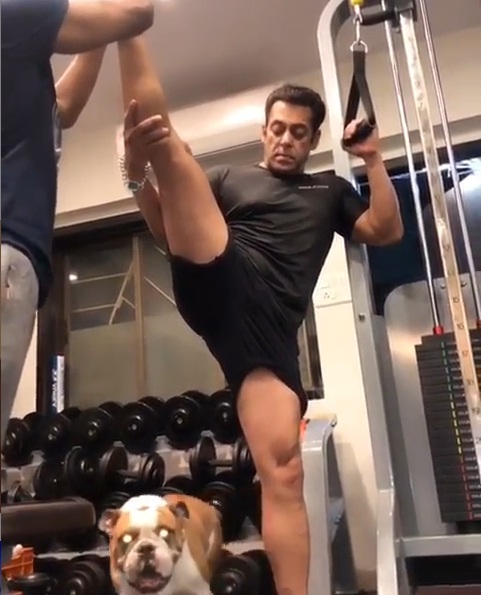 Bollywood Tadka, सलमान खान इमेज, सलमान खान फोटो, सलमान खान पिक्चर