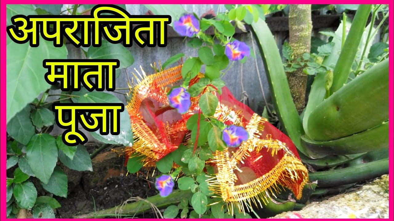 Aparajita Puja 