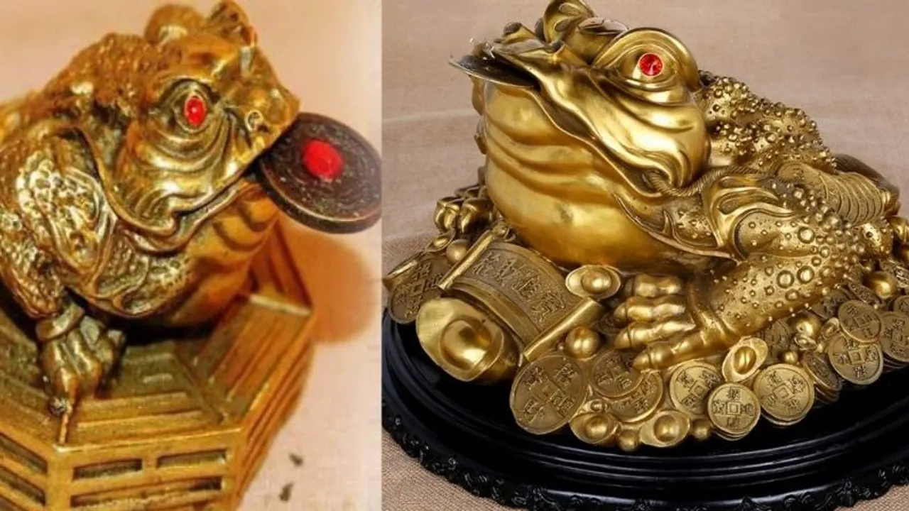 PunjabKesari Feng Shui frog benefits