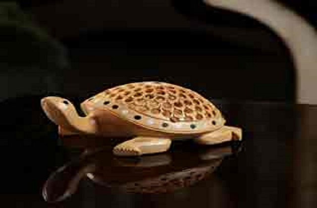 PunjabKesari Tortoise