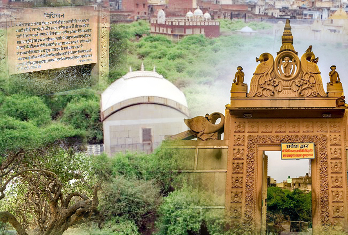 PunjabKesari Vrindavan Rasleela Temple