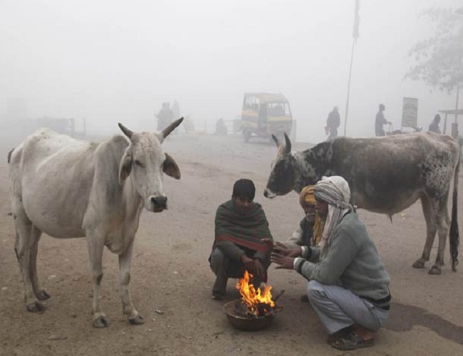 PunjabKesari, Madhya Pardesh Hindi News, Bhopal Hindi News, Bhopal Hindi Samachar, Weather Report, Cold wind, Weather department