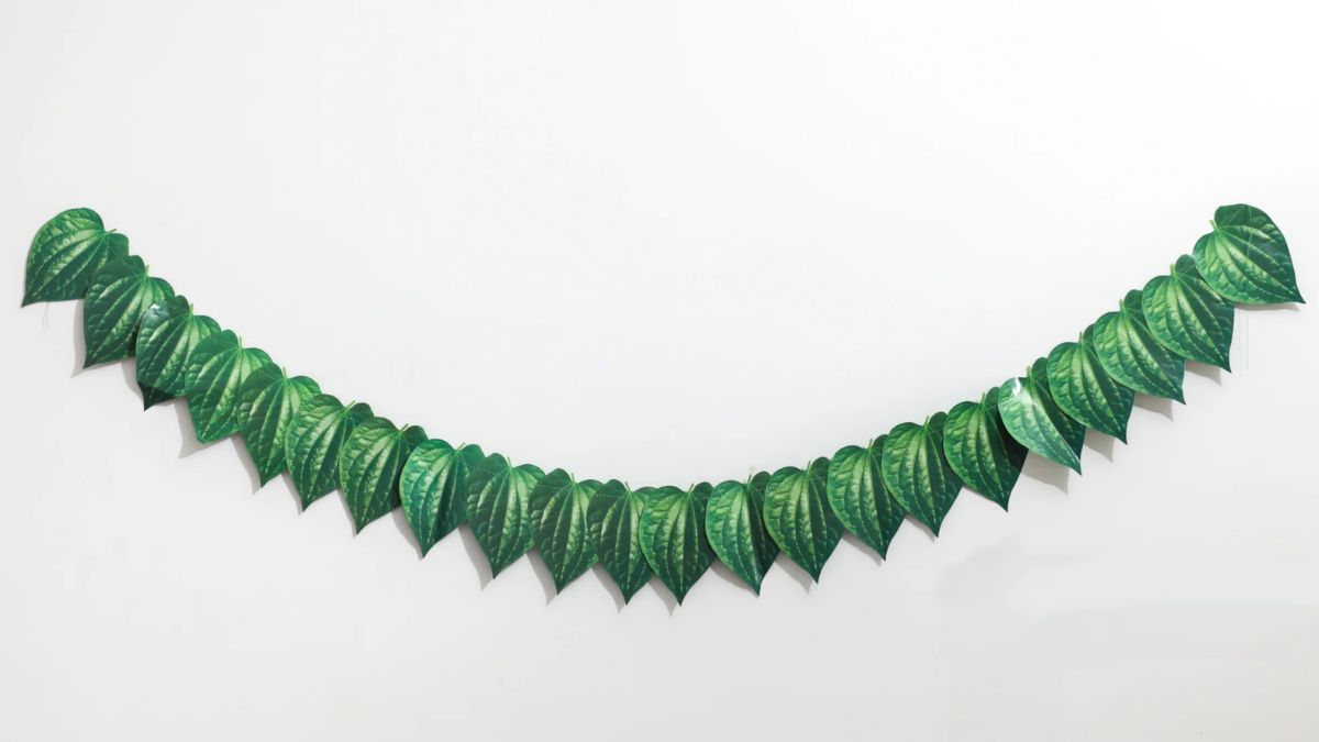 PunjabKesari Vastu Tips